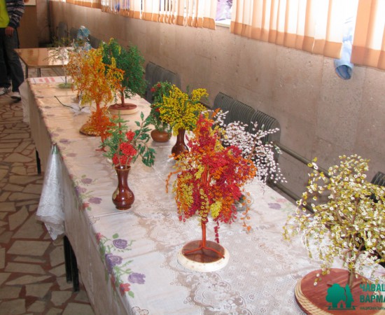 ���� ������ 2009 15