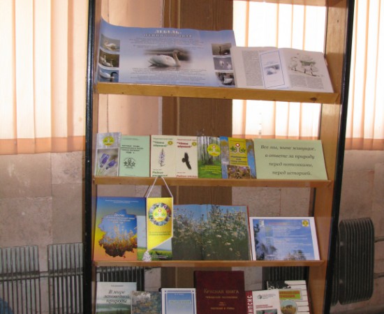 ���� ������ 2009 18
