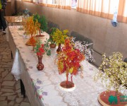 ���� ������ 2009 15