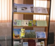 ���� ������ 2009 18