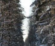 Зимняя дорога 2