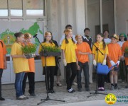 ���� ������ - 2012 11