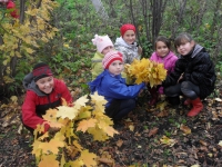 Осенний пикник на природе Осенний пикник на природе