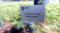 Посадка кедрового «леса» открыла Совещание руководителей заповедников и национальных парков во Владивостоке. Посадка кедрового «леса» открыла Совещание руководителей заповедников и национальных парков во Владивостоке.