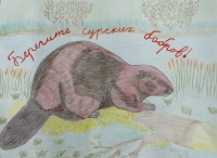 Подведены итоги конкурса плакатов «Сохраним заповедную природу» Подведены итоги конкурса плакатов «Сохраним заповедную природу»