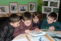 О птичьих секретах О птичьих секретах