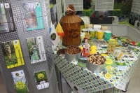 Форум-выставка «Отдых на Волге» Форум-выставка «Отдых на Волге»