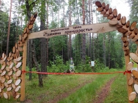 Открылась экологическая тропа «Травкина премудрость» Открылась экологическая тропа «Травкина премудрость»