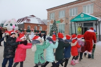 Праздник новогоднего дерева Праздник новогоднего дерева
