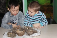Выездные заповедные уроки Выездные заповедные уроки