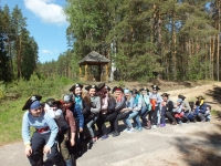 На поиски лесного клада На поиски лесного клада