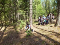 На поиски лесного клада На поиски лесного клада
