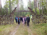 Зелёная гостиная в лесу Зелёная гостиная в лесу