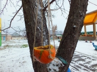 Не велика птичка, а свой праздник знает… Не велика птичка, а свой праздник знает…