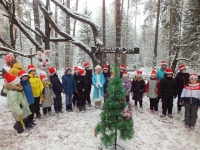 Экскурсии в зимний лес Экскурсии в зимний лес