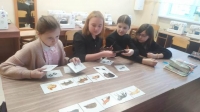 Новый год с заповедных уроков Новый год с заповедных уроков