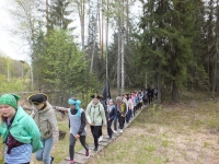 Экологические тропы вас ждут! Экологические тропы вас ждут!