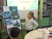 Покорми зимой синицу Покорми зимой синицу