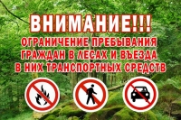 Введены ограничения на посещение лесов