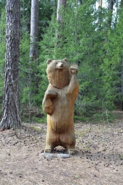 Экологическая тропа  «У медведя во бору»